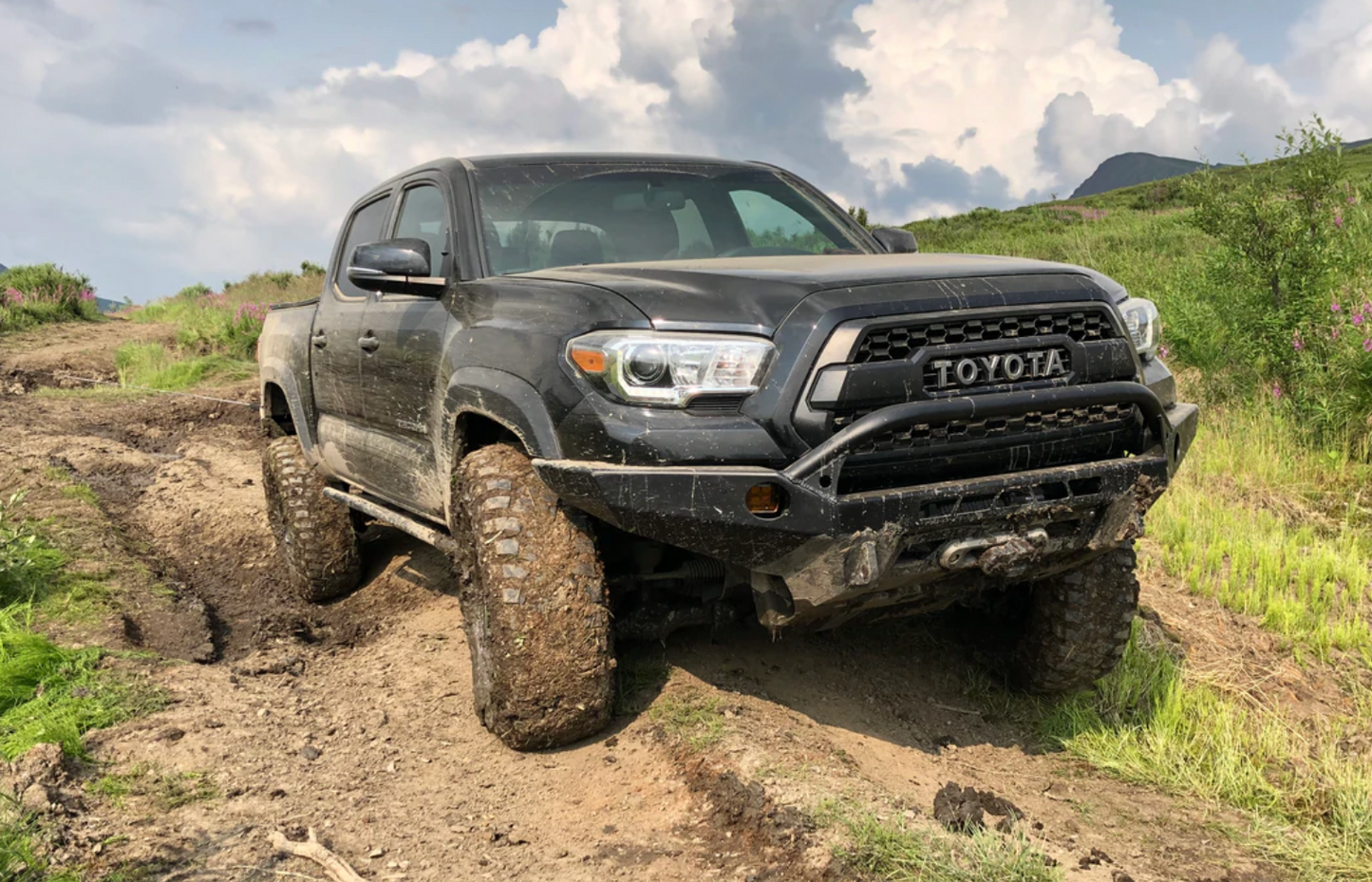 2005-2022 TOYOTA TACOMA TRAIL EDITION ROCK SLIDERS-Offroad Scout